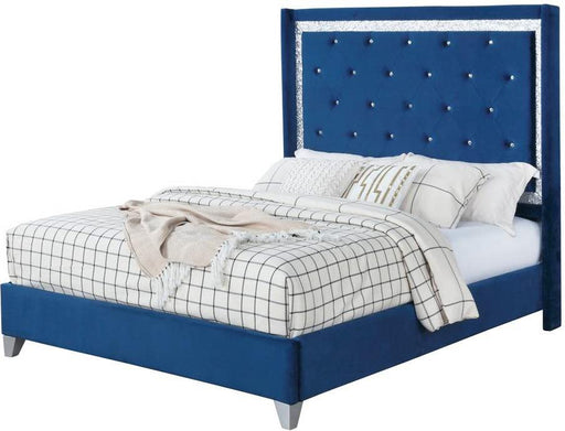 Galaxy Home Sapphire Full Upholstered Bed in Navy GHF-808857811028 image